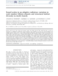 Lizard Scales in an Adaptive Radiation: Variation in Scale Number Follows Climatic and Structural Habitat Diversity in Anolis Lizards