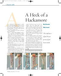 A Heck of a Hackamore