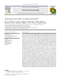 Cooperia Punctata: Effect on Cattle Productivity?