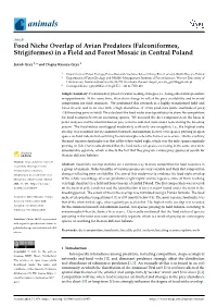 Food Niche Overlap of Avian Predators (Falconiformes, Strigiformes) in a Field and Forest Mosaic in Central Poland