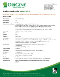 LC3B (MAP1LC3B) (N-Term) (Incl. Pos. Control) Mouse Monoclonal Antibody [Clone ID: 2G6] Product Data