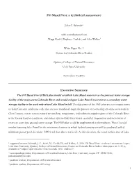 Fill Mead First: a Technical Assessment1 Executive Summary