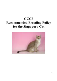 GCCF Recommended Breeding Policy for the Singapura Cat