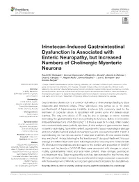 Irinotecan-Induced Gastrointestinal Dysfunction Is Associated with Enteric Neuropathy, but Increased Numbers of Cholinergic Myenteric Neurons