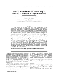 Retinal Afferents to the Dorsal Raphe Nucleus in Rats and Mongolian Gerbils