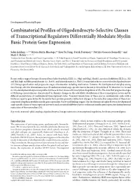 Combinatorial Profiles of Oligodendrocyte-Selective Classes of Transcriptional Regulators Differentially Modulate Myelin Basic Protein Gene Expression