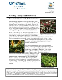 Creating a Tropical Shade Garden
