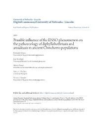 Possible Influence of the ENSO Phenomenon on the Pathoecology