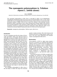 The Cyanogenic Polymorphism in Trifolium Repens L