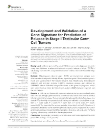 Development and Validation of a Gene Signature for Prediction of Relapse in Stage I Testicular Germ Cell Tumors