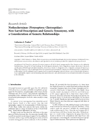 Nothochrysinae (Neuroptera: Chrysopidae): New Larval Description and Generic Synonymy, with a Consideration of Generic Relationships