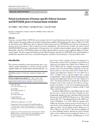 Paired Involvement of Human-Specific Olduvai Domains and NOTCH2NL