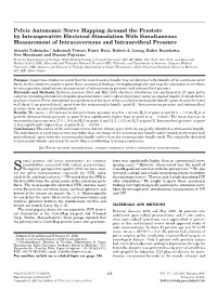 Pelvic Autonomic Nerve Mapping Around the Prostate by Intraoperative Electrical Stimulation with Simultaneous Measurement of Intracavernous and Intraurethral Pressure