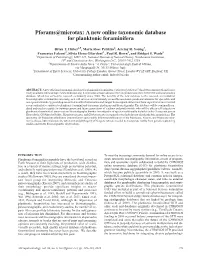 Pforams@Microtax: a New Online Taxonomic Database for Planktonic Foraminifera