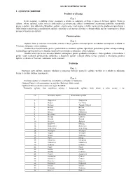 Statut Opštine Tutin