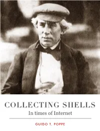 COLLECTING SHELLS in Times of Internet
