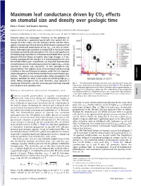 Maximum Leaf Conductance Driven by CO2 Effects on Stomatal Size and Density Over Geologic Time