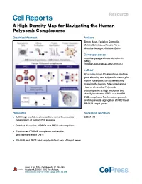 A High-Density Map for Navigating the Human Polycomb Complexome