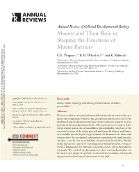 Mucins and Their Role in Shaping the Functions of Mucus Barriers