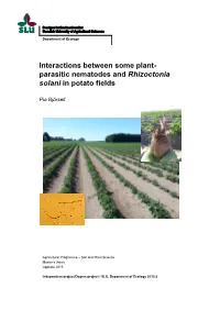 Parasitic Nematodes and Rhizoctonia Solani in Potato Fields