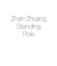 Zhan Zhuang Standing Pole Standing Pole - Zhan Zhuang