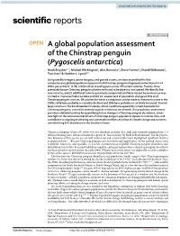A Global Population Assessment of the Chinstrap Penguin (Pygoscelis