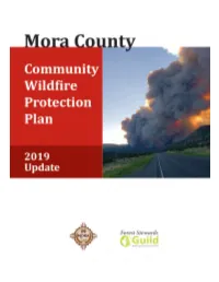 Draft 1 Mora Cty CWPP 0701