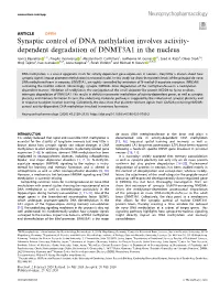 Synaptic Control of DNA Methylation Involves Activity-Dependent