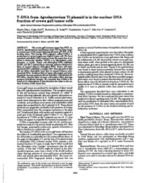 T-DNA from Agrobacterium Ti Plasmid Is in the Nuclear