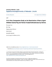 An in Vitro Comparative Study on the Reactivation of Nerve Agent- Inhibited Guinea Pig and Human Acetylcholinesterases by Oximes