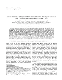 Colour Preference and Light Sensitivity in Trilobite Larvae of Mangrove Horseshoe Crab, Carcinoscopius Rotundicauda (Latreille, 1802)