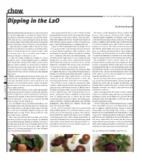 Dipping in the L2O by Michael Nagrant