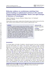 Molecular Evidence on Evolutionary Switching from Particle-Feeding To