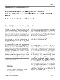 Polymorphisms in Ten Candidate Genes Are Associated with Conformational and Locomotive Traits in Spanish Purebred Horses