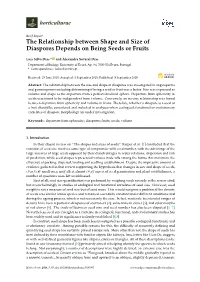 The Relationship Between Shape and Size of Diaspores Depends on Being Seeds Or Fruits