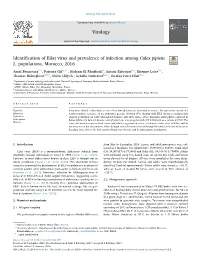 Identification of Eilat Virus and Prevalence of Infection Among