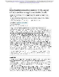 Mitochondrial Uncoupling Protein 2 (UCP2), but Not UCP3, Is Sensitive to Oxygen Concentration in Cells