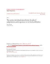 The Swine Intestinal Microbiota: Localized Adaptations and Responses to In-Feed Antibiotics Torey P