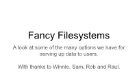 Fancy Filesystems a Look at Some of the Many Options We Have for Serving up Data to Users