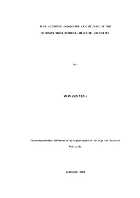 Phylogenetic and Systematic Studies of The