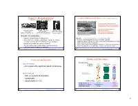 Fracture Mechanisms Ductile Vs Brittle Failure