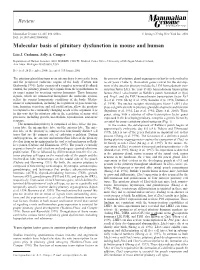 Molecular Basis of Pituitary Dysfunction in Mouse and Human
