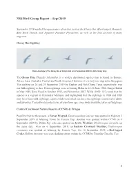 NSS Bird Group Report – Sept 2019