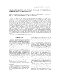 Characterization and Cooled Storage of Semen from Corn Snakes (Elaphe Guttata)