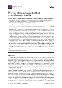 Overview of the Anticancer Profile of Avenanthramides From