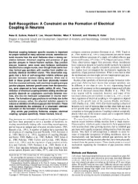 A Constraint on the Formation of Electrical Coupling in Neurons