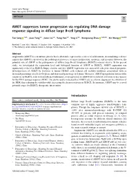 AMOT Suppresses Tumor Progression Via Regulating DNA Damage Response Signaling in Diffuse Large B-Cell Lymphoma