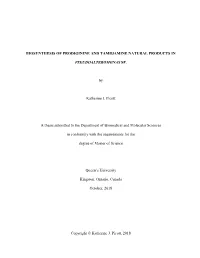 BIOSYNTHESIS of PRODIGININE and TAMBJAMINE NATURAL PRODUCTS in PSEUDOALTEROMONAS SP. by Katherine J. Picott a Thesis Submitted T