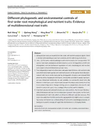 Different Phylogenetic and Environmental Controls of First‐Order