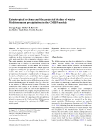 Extratropical Cyclones and the Projected Decline of Winter Mediterranean Precipitation in the CMIP5 Models